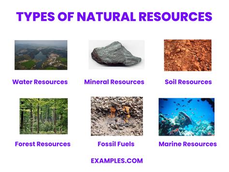 resources .